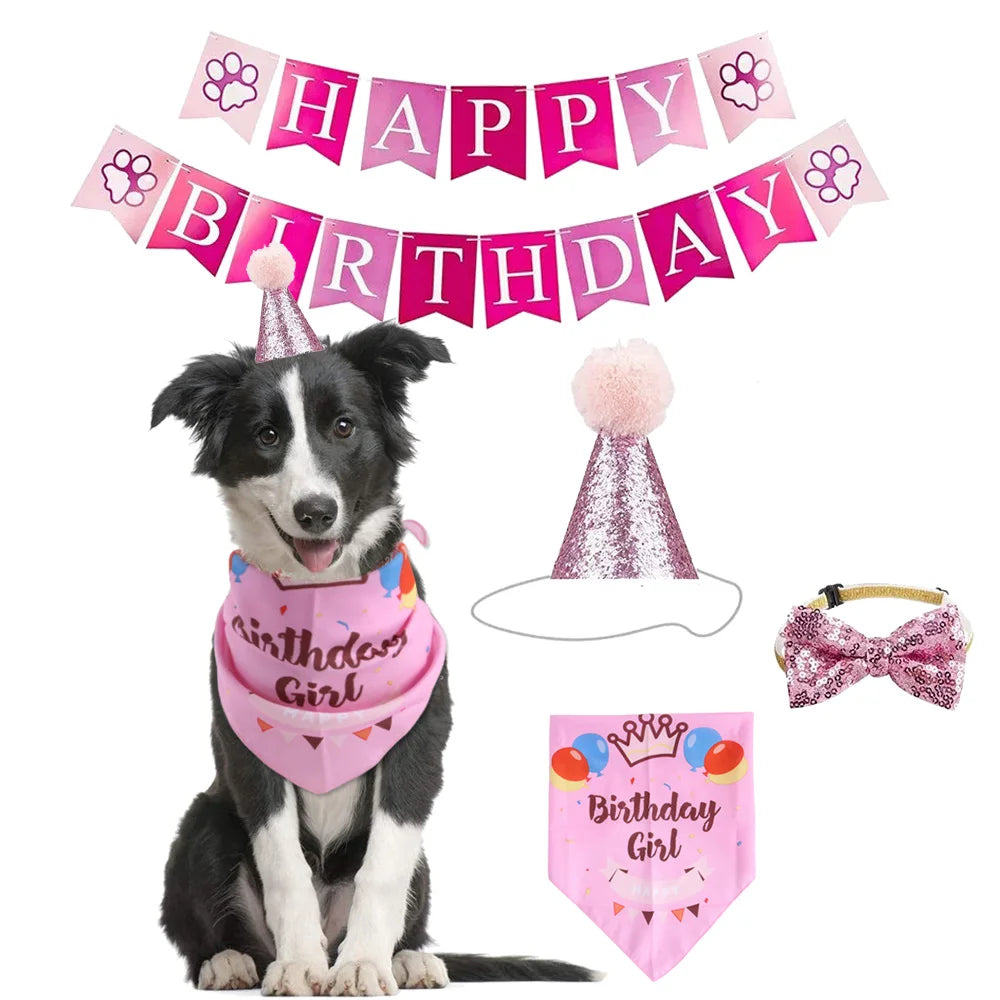 Clothing & Accessories